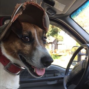 Meet your Posher, Clayton